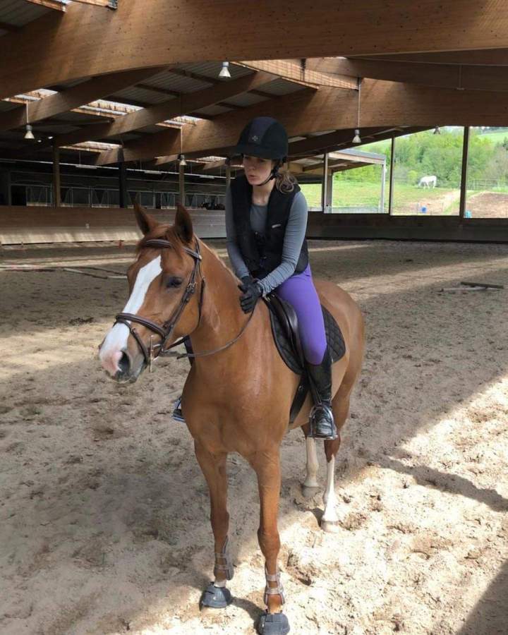 Équitation Le Rhône