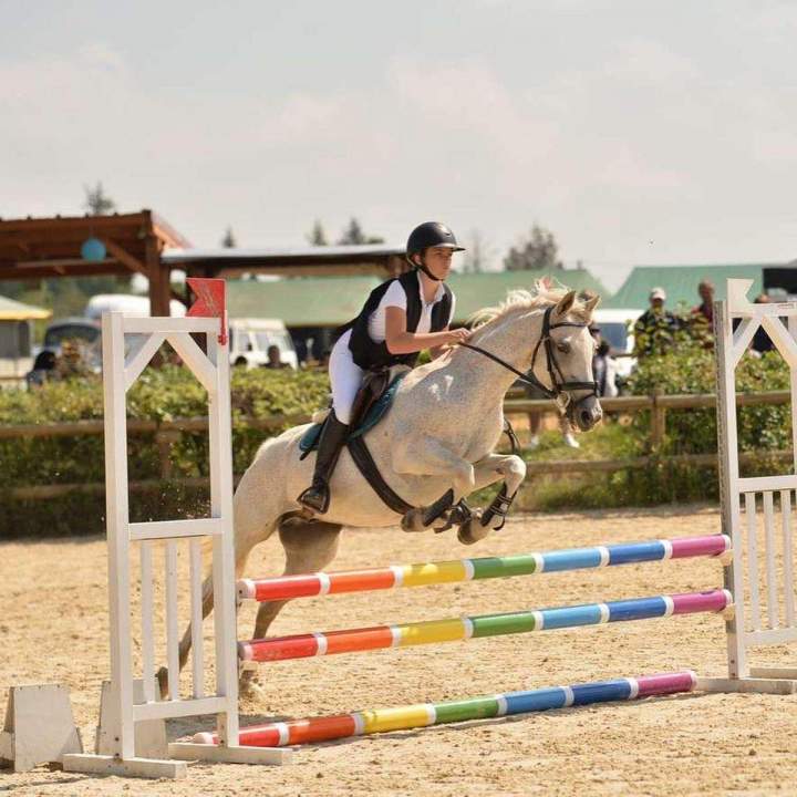 Cours d'équitation Le Rhône