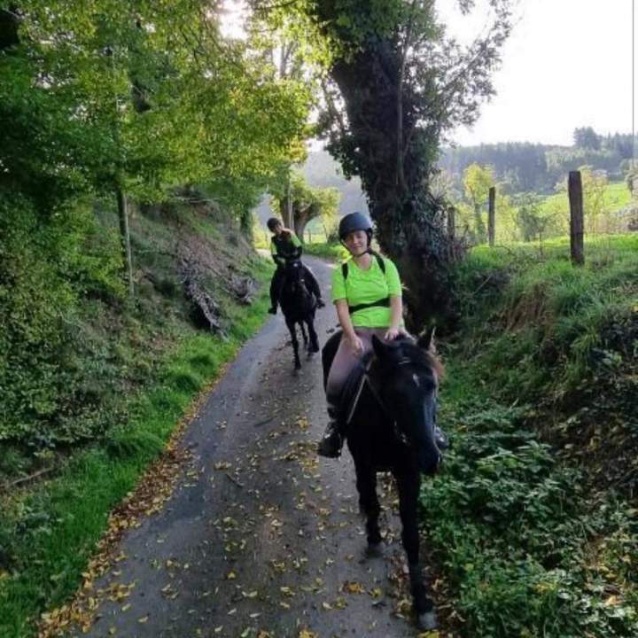 Cours d'équitation Le Rhône