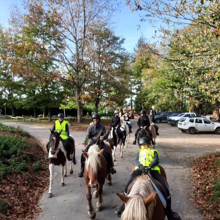 Balades à cheval Le Rhône