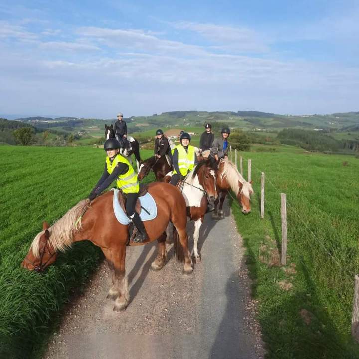 Balades à cheval bien organisées Le Rhône