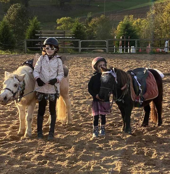 Service d'équitation Le Rhône