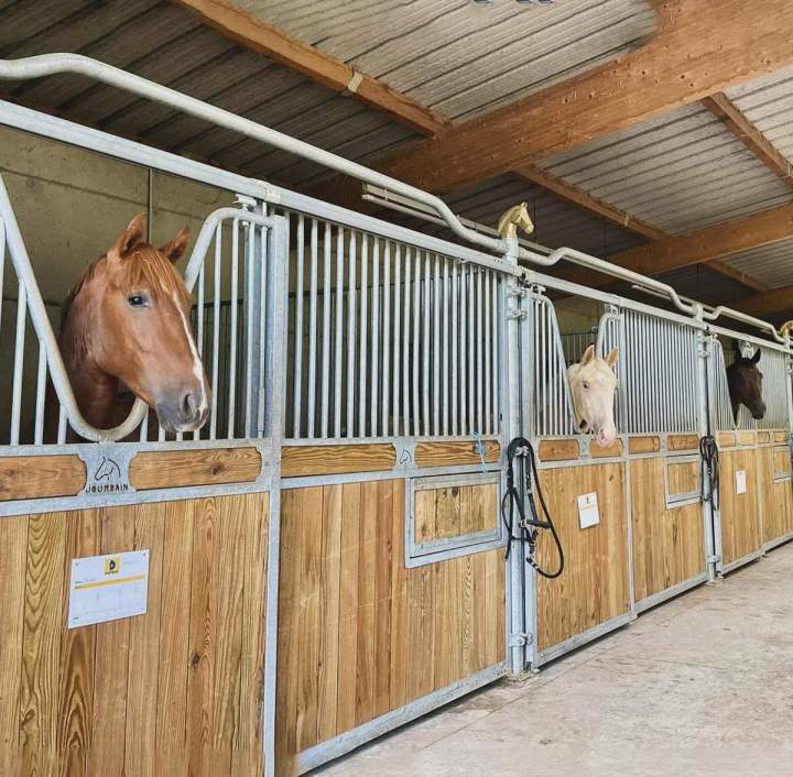 Centre avec pension pour chevaux Le Rhône