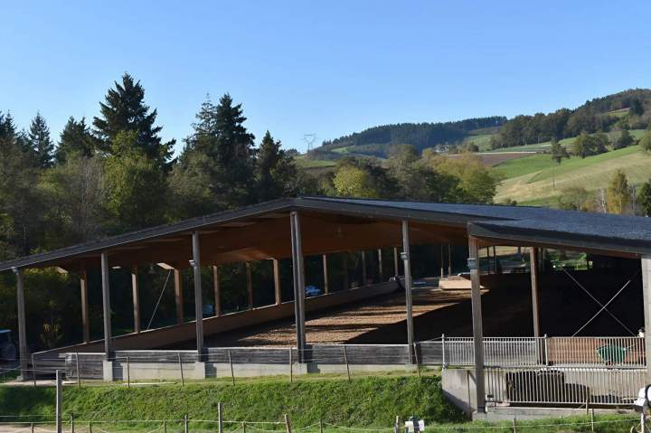 Pension pour chevaux Le Rhône