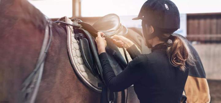 Cours d'équitation Le Rhône