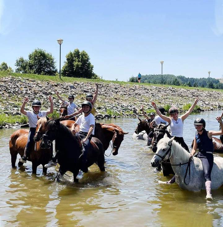 Élevage de chevaux Le Rhône
