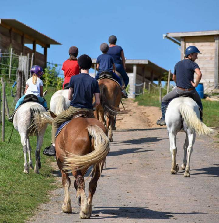 Balades à cheval Le Rhône